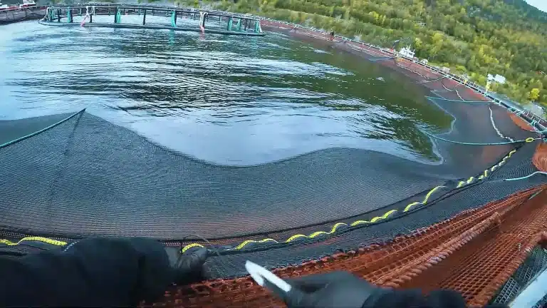 Marine Zipper Application