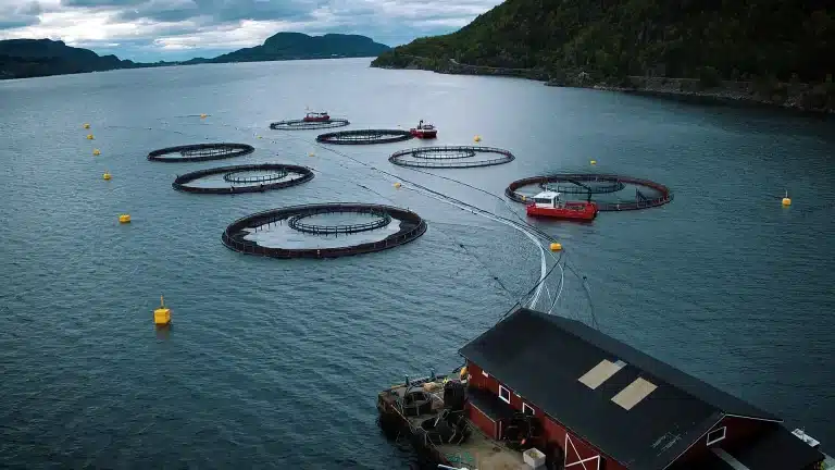 buraschi-marine-zippers-for-aquaculture