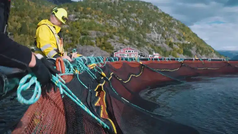 buraschi-marine-zippers-for-aquaculture